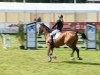 jumper Spirit In The Sky (Hanoverian, 2001, from Slibovitz)