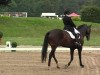 dressage horse Laurina (Westphalian, 2005, from Laudabilis)