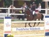 broodmare Fergie Bs (Hanoverian, 2004, from Forsyth)