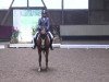 dressage horse Blue Bayou 6 (Hanoverian, 2005, from Harmony's Baroncelli)