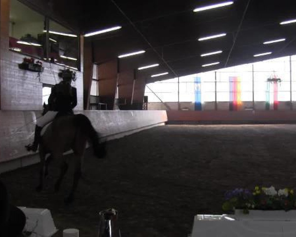 Dressurpferd Bilbao 28 (Hannoveraner, 2001, von Bergamon)