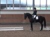 dressage horse Beldivano (Hanoverian, 1999, from Bergamon)