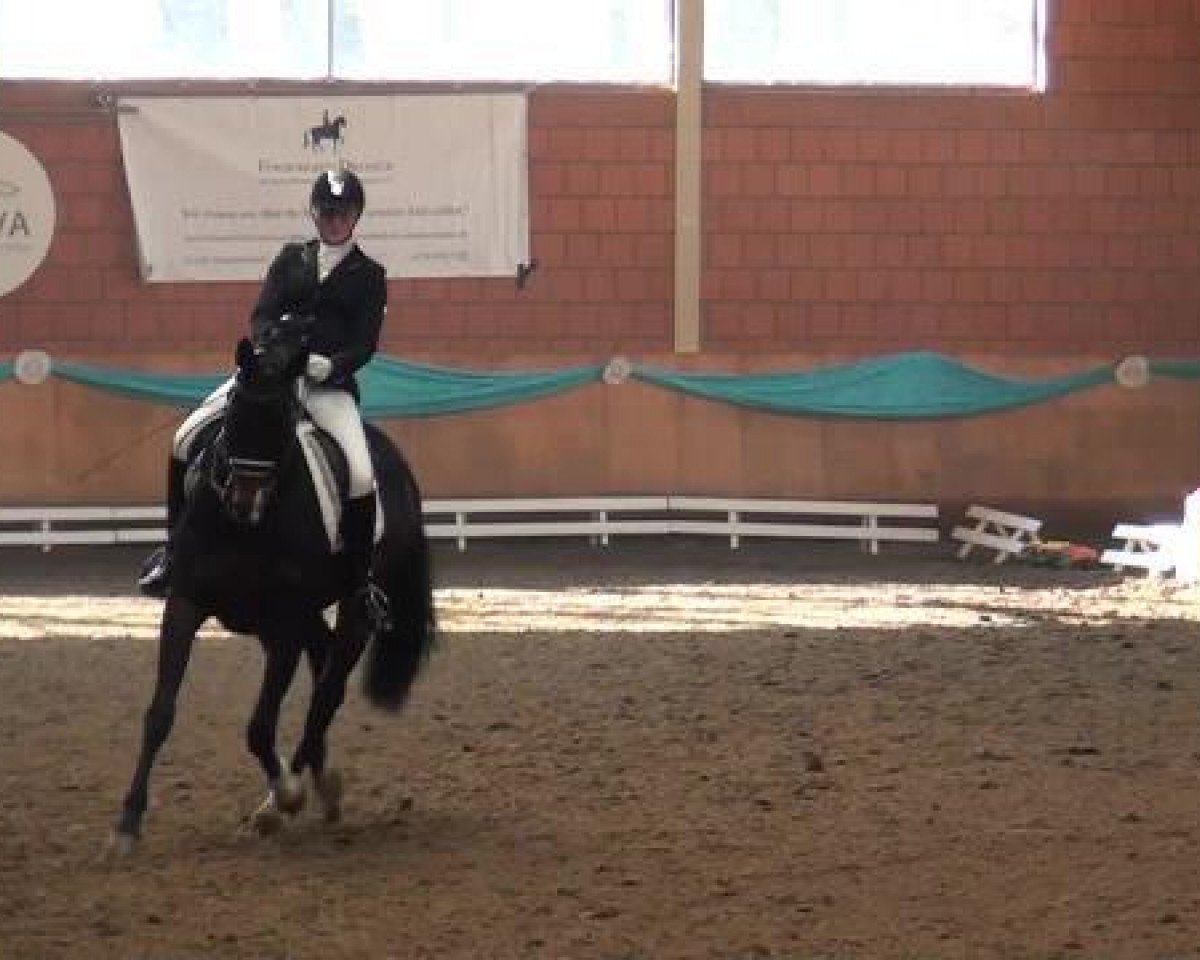 broodmare Hecate 2 (Hanoverian, 2003, from Hofrat)
