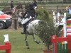 jumper Newton (Hanoverian, 2004, from Now Or Never M)