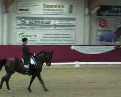 dressage horse Waicando 2 (Hanoverian, 2001, from Waikiki I)