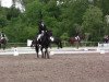 jumper Salerie (Hanoverian, 2004, from Salieri)