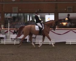 dressage horse Samaro (Westphalian, 2006, from Samarant)