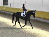 dressage horse Rimero (German Sport Horse, 2005, from Roadster)