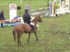 Springpferd Nikita W (Zweibrücker, 2004, von Quidam's Rubin)