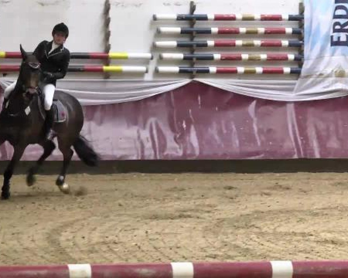 broodmare Ciane (KWPN (Royal Dutch Sporthorse), 1991, from Cicero)