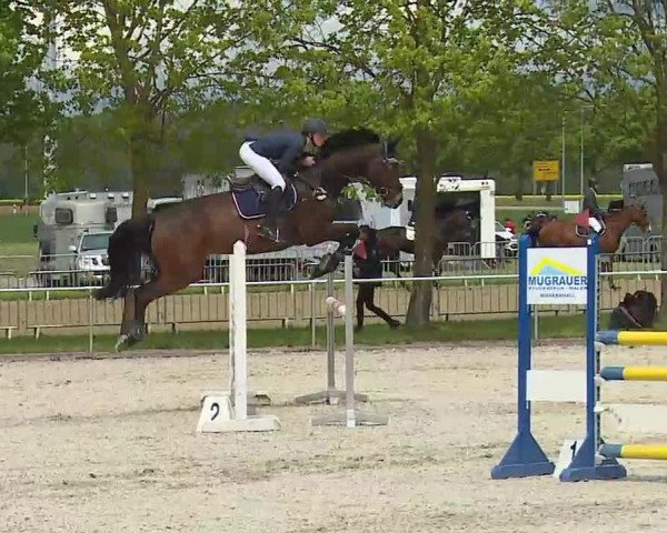 Reitturnier Rot am See- Musdorf 2021