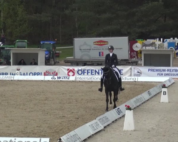 Reitturnier Rastede-Nethen 2021