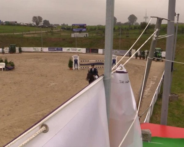 jumper Ludovico 8 (Holsteiner, 1997, from Lennon)