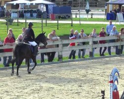 Springpferd Hannes (Trakehner, 2004, von Sixtus)