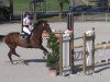 Springpferd Luna 1290 (Ungarisches Warmblut, 2002, von Laurenz)