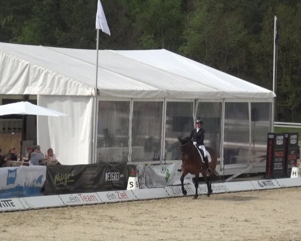 Reitturnier Rastede-Nethen 2021