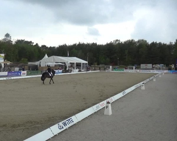 Reitturnier Rastede-Nethen 2021