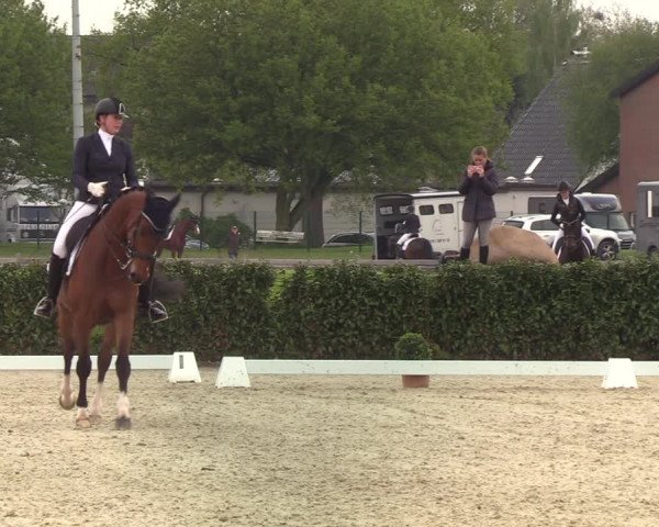 Reitturnier Elmshorn 2021