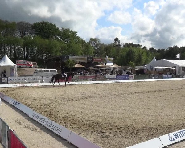 Reitturnier Rastede-Nethen 2021