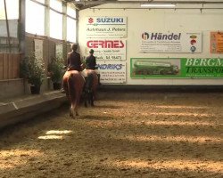 dressage horse Axel Rose (KWPN (Royal Dutch Sporthorse), 2005, from Lupicor)