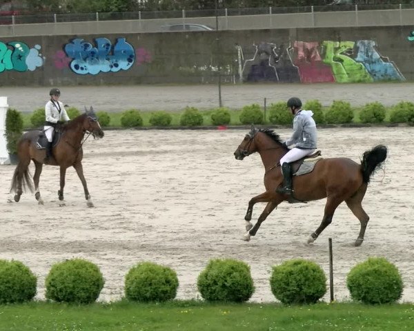 Reitturnier Basel Schänzli 2021