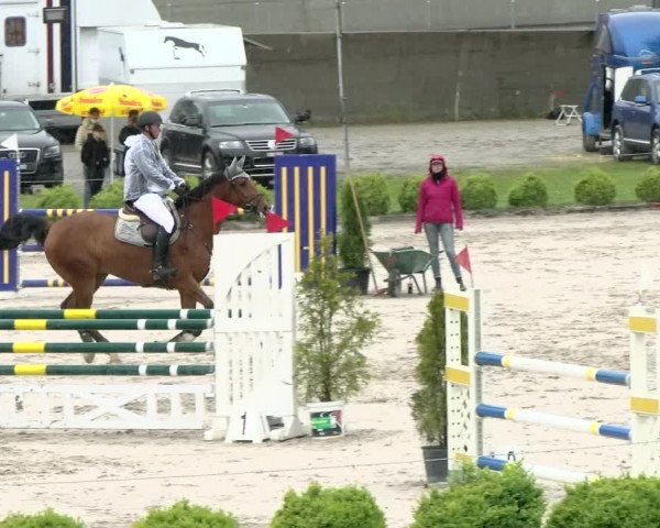 Reitturnier Basel Schänzli 2021
