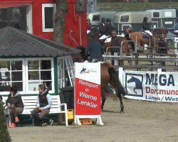 broodmare Evita 401 (Oldenburg show jumper, 2009, from Lordanos)