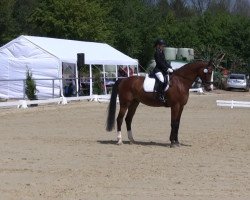 dressage horse Earl of Jo (Westphalian, 1996, from Ehrentusch)