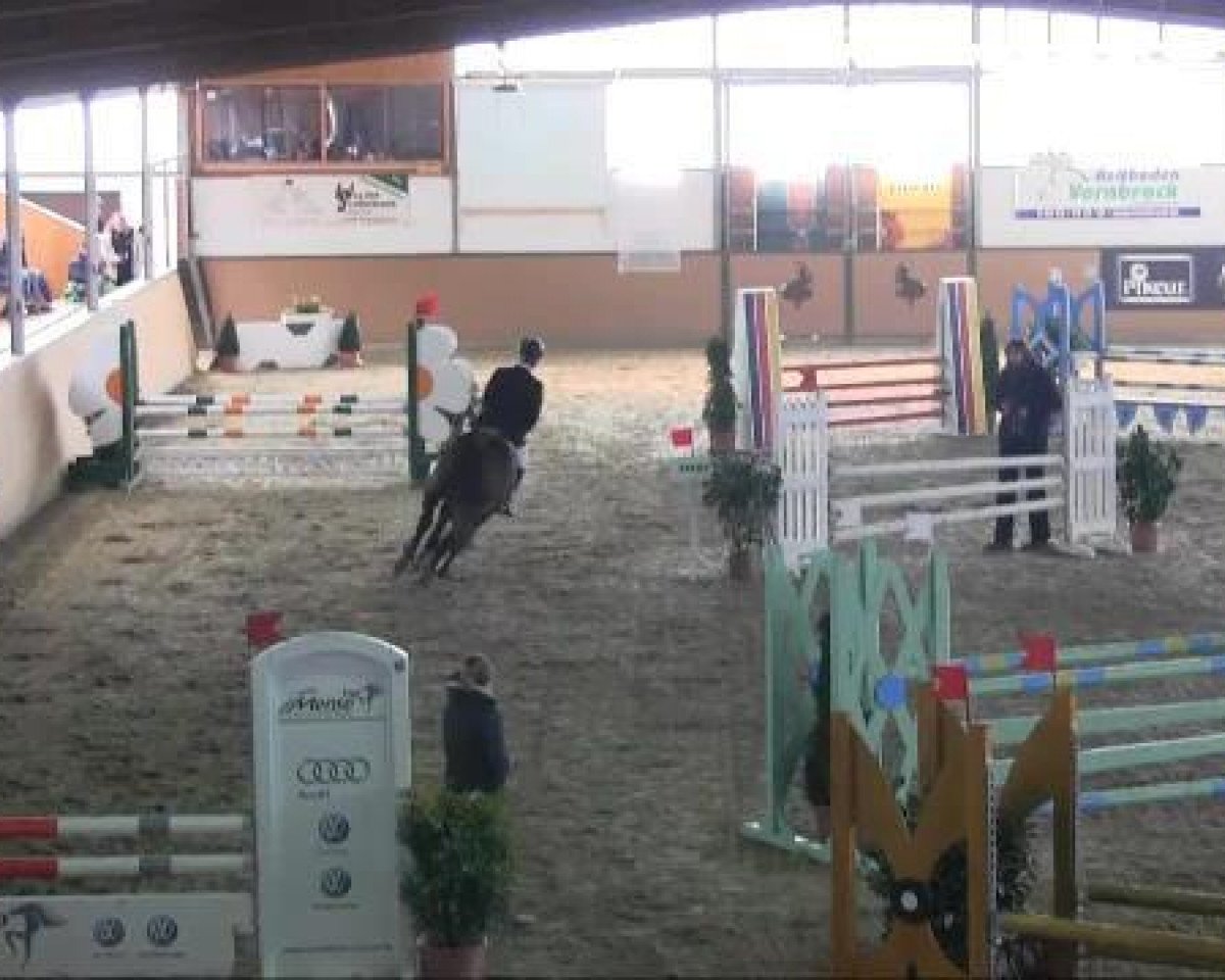 jumper Florissa (Westphalian, 1996, from Focus)
