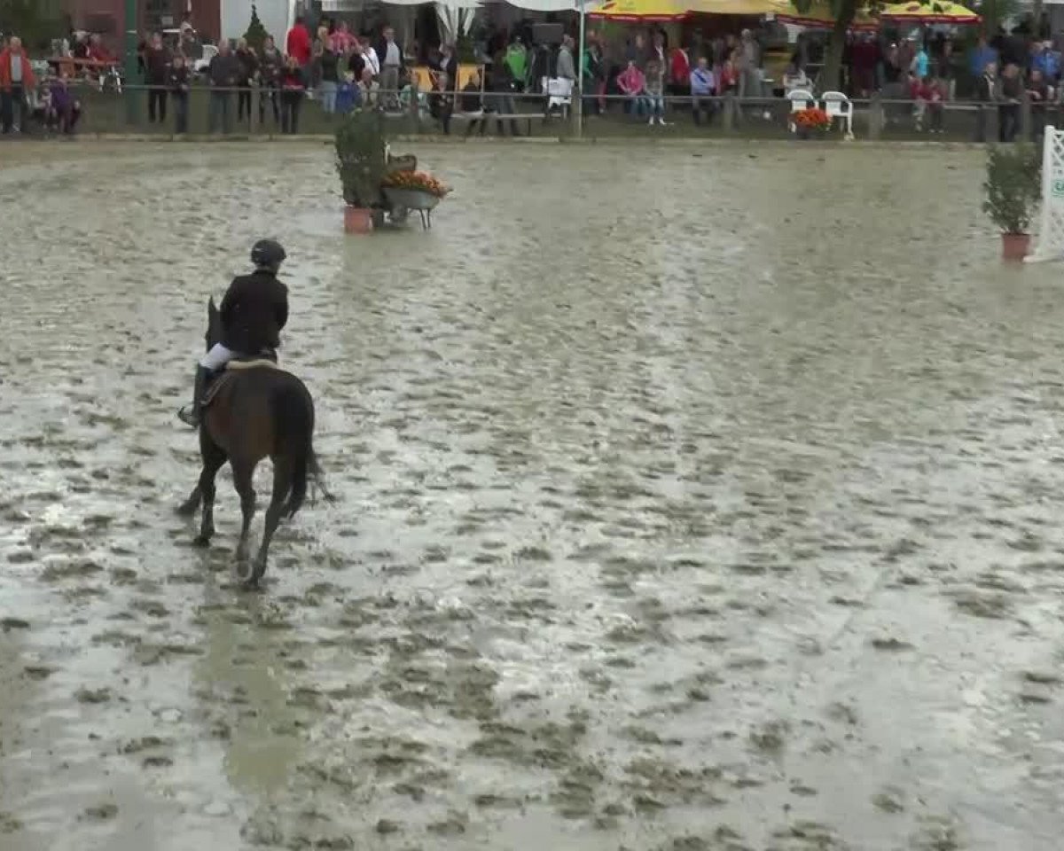 broodmare Valerie (German Riding Pony, 1998, from Vivaldi)