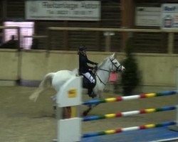 jumper Damigo (German Riding Pony, 2002, from Dosvidania)