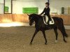 dressage horse Rapunzel 154 (Oldenburg, 2003, from Rubin Royal OLD)