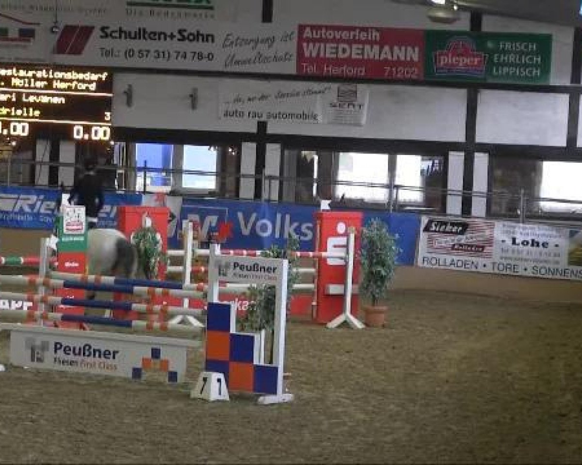 Springpferd Adrielle 2 (Hannoveraner, 2005, von Adlantus As FRH)