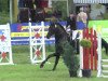 jumper Rossini 70 (Hanoverian, 1994, from Ramires)