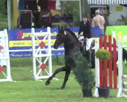 jumper Rossini 70 (Hanoverian, 1994, from Ramires)