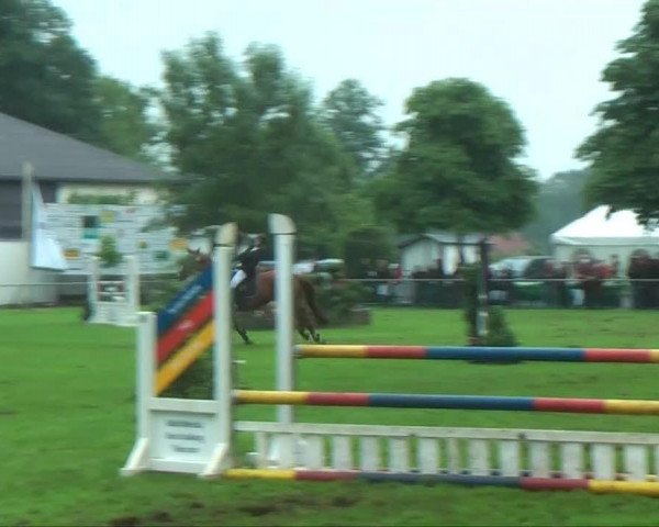 jumper Beautiful Brenda (Hanoverian, 2000, from Brentano II)