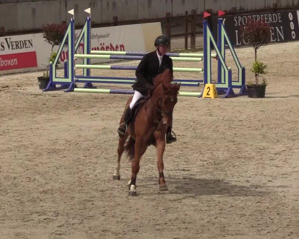 Reitturnier Westergellersen 2021