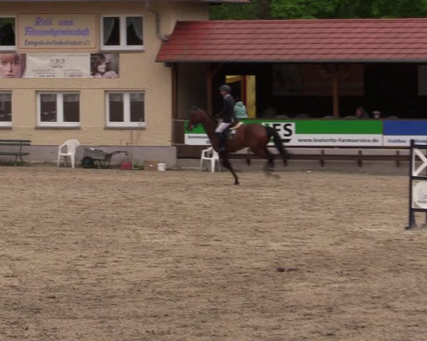 Reitturnier Lgl.-Oberhain, B95 2021