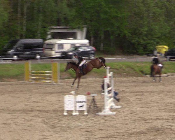 Reitturnier Lgl.-Oberhain, B95 2021