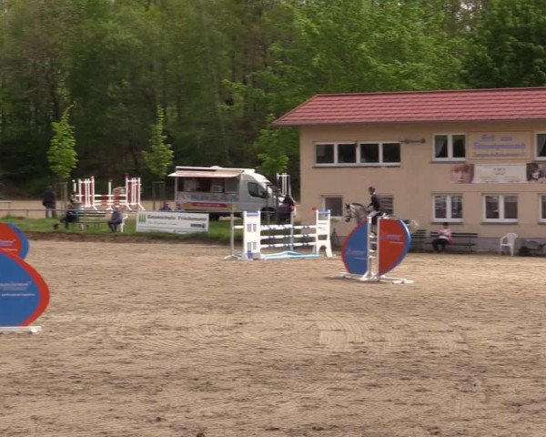 Reitturnier Lgl.-Oberhain, B95 2021