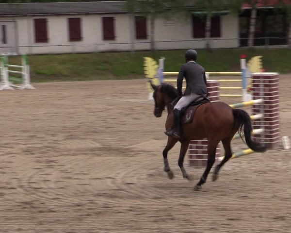Reitturnier Lgl.-Oberhain, B95 2021