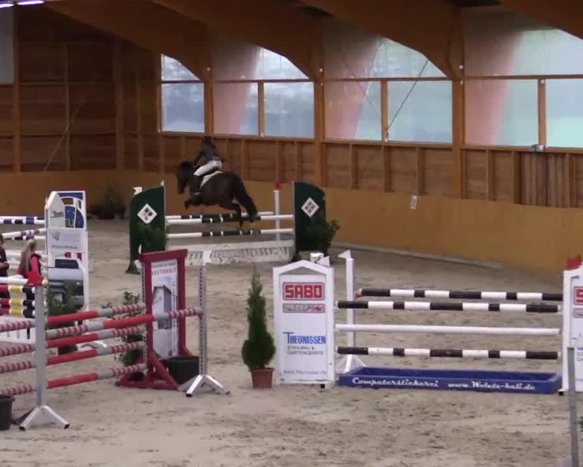 jumper Laureatum (Oldenburg, 1995, from Libero H)