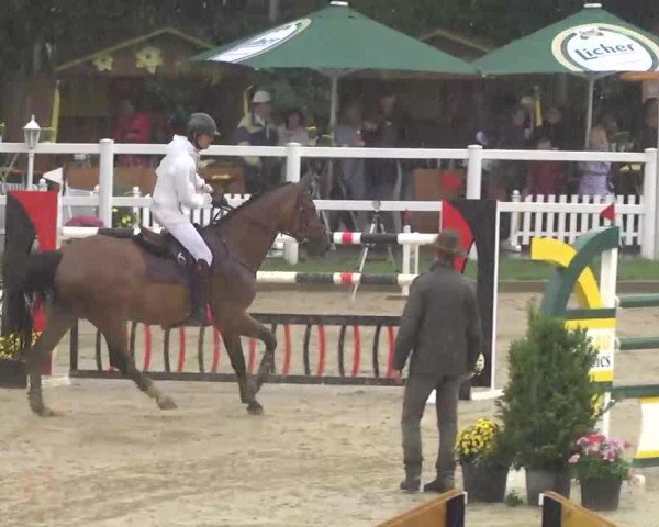 jumper Last Chance 9 (Hanoverian, 1995, from Libero H)