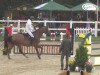 jumper Last Chance 9 (Hanoverian, 1995, from Libero H)