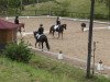 dressage horse Carlos J (Holsteiner, 1998, from Corofino I)