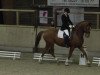 dressage horse Heintje 2 (Hanoverian, 2003, from Weltmeyer)