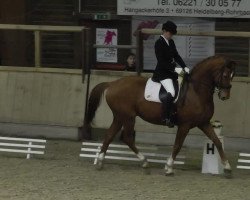 dressage horse Heintje 2 (Hanoverian, 2003, from Weltmeyer)