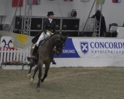 dressage horse Dernier Crie 4 (Hanoverian, 2002, from Donnerhall)