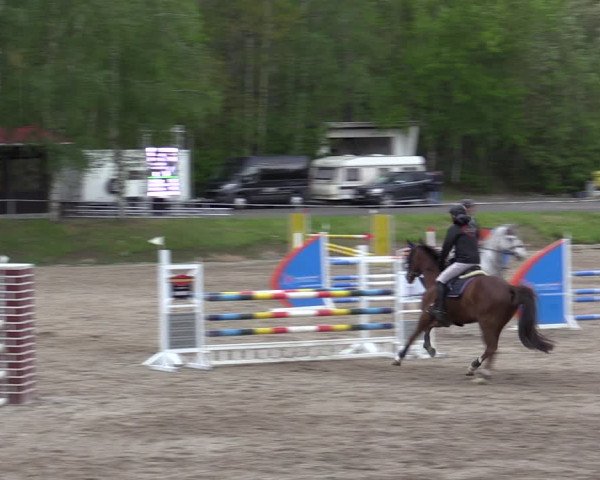 Reitturnier Lgl.-Oberhain, B95 2021