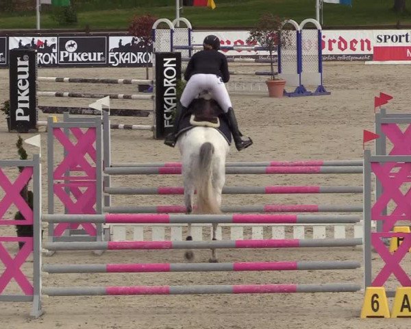 Reitturnier Westergellersen 2021